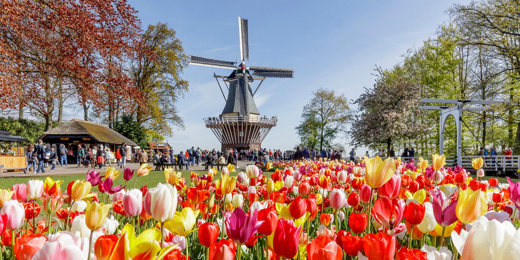 【荷航直飛・早抵晚回】荷比深度雙國12天風格旅（春遊庫肯霍夫花季・期間限定起司市集）