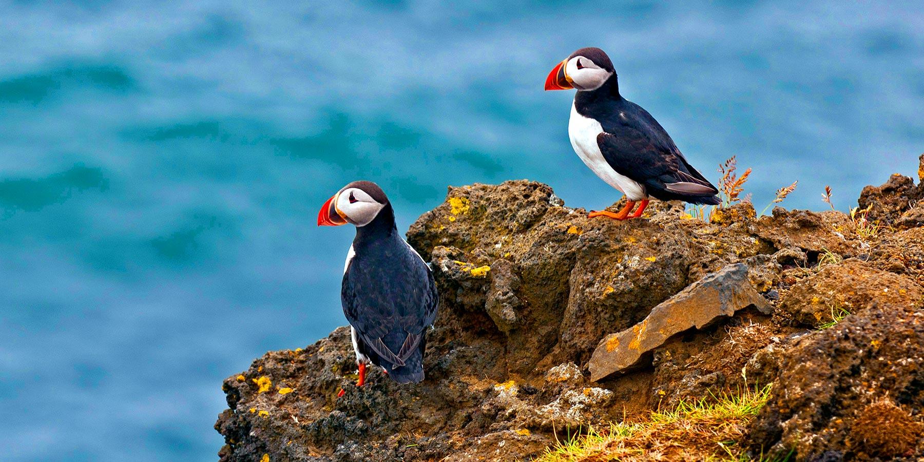 【金獎推薦】維京原鄉冰與火之歌・冰島環島・挪威峽灣深度15天