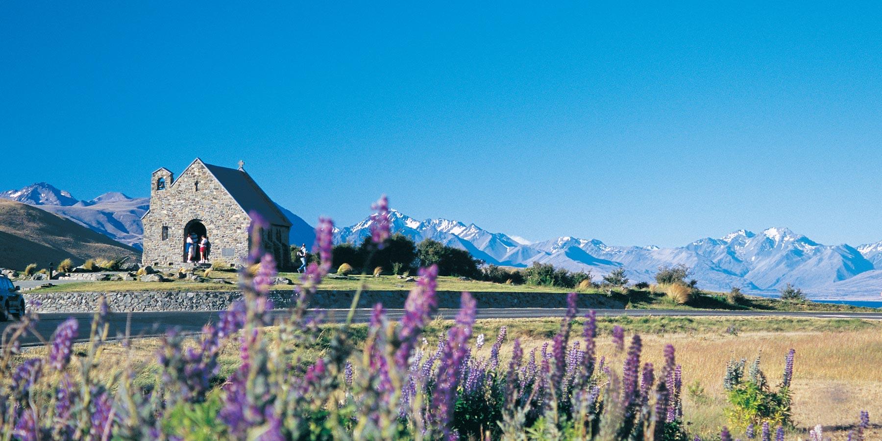 好評推薦｜歷年紐西蘭團貴賓評價