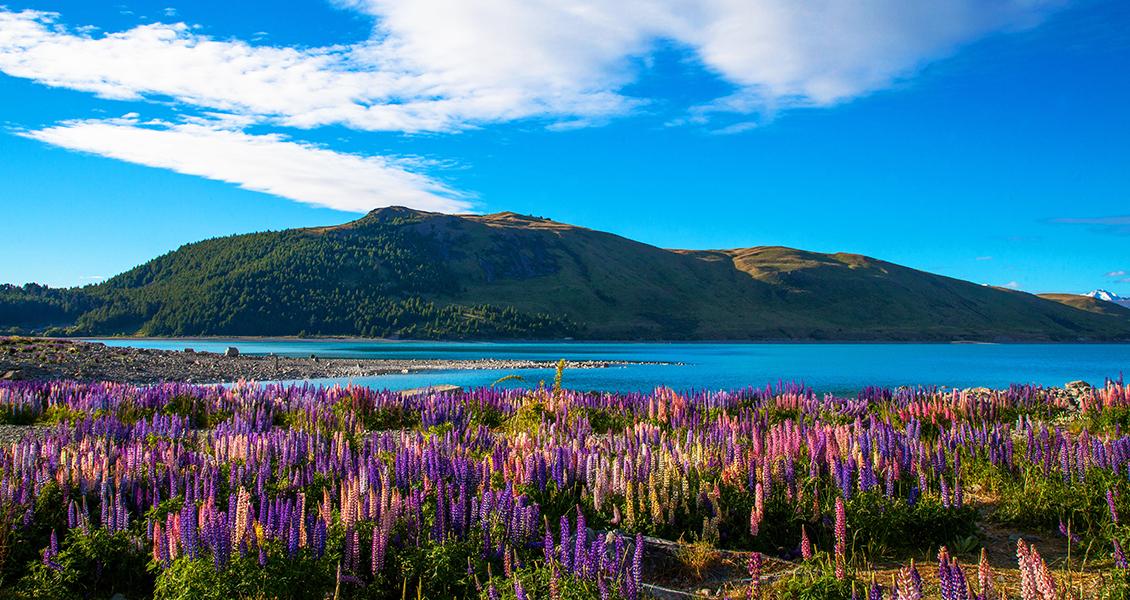 玩紐西蘭前必看！四季特色與穿搭法則介紹（2025更新）