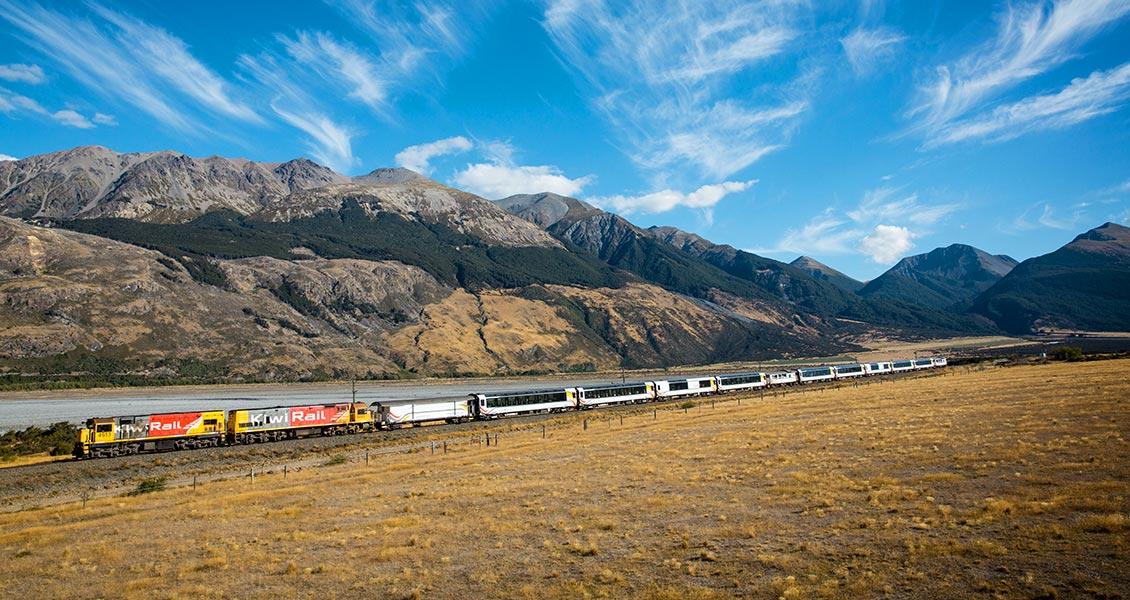 【玩翻紐西蘭】水陸兩棲 — 陸地篇